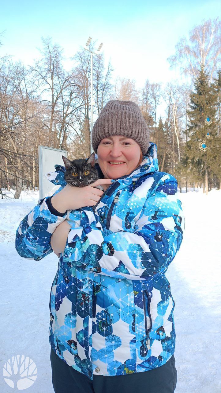 В Новосибирске пять часов выманивали кошку из-под сцены в Центральном парке