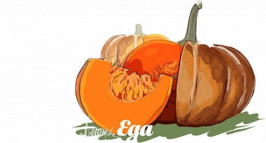 ��� ������������� ���� � ������� �����: ������ ��������������