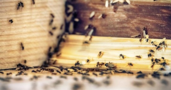 ��������� ������: ��� ������� ����� �������� ������ ��������