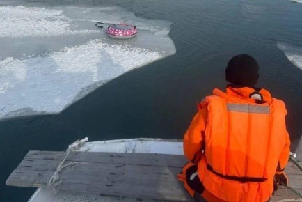 ��������� ���������� ������ 8-������ ��������� � ������������