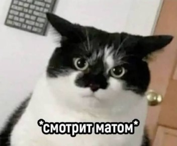 ��� � ��������� ����� ������� �� ��������: ������� ������������ � ������� �������