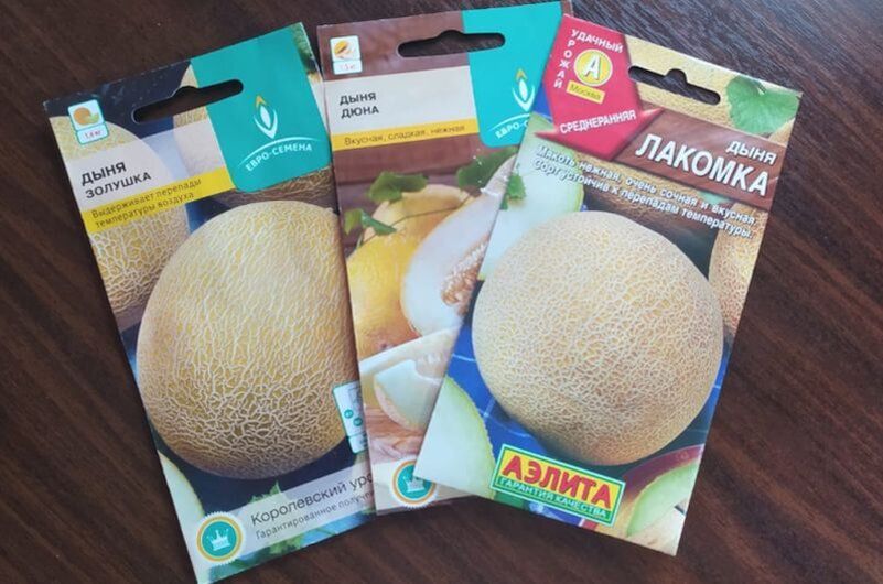 ����������� ������ �� ����������� ������ ������� � ����