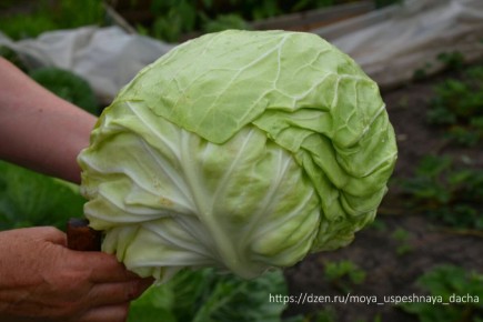 ���� �� �������� � ����: ��� ���������� �������� ������