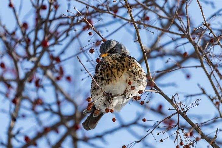 ������� ������ �� 28 ������� � 1 ����� � ������������ ������� ���������