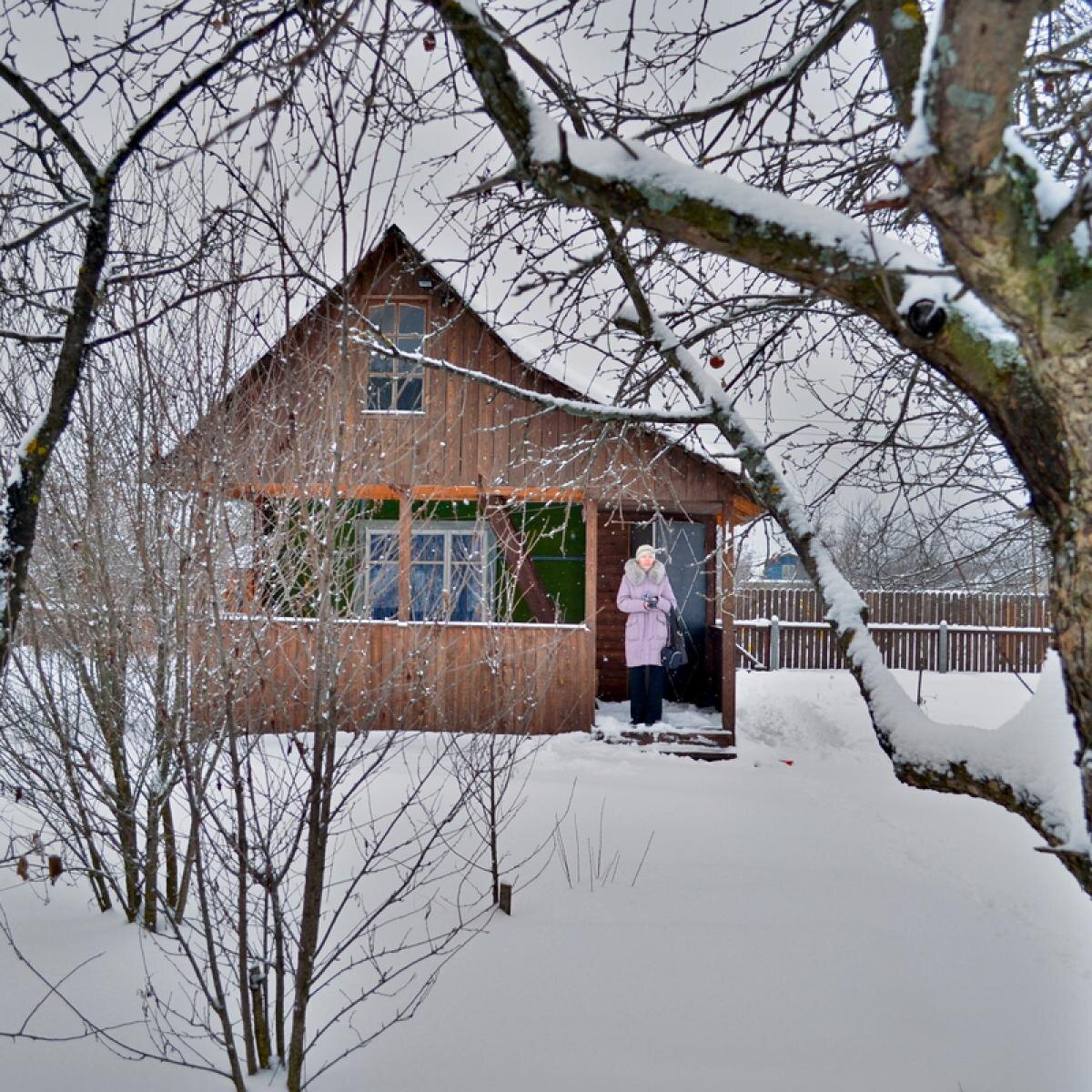 Секреты зимнего сада: что важно сделать в декабре