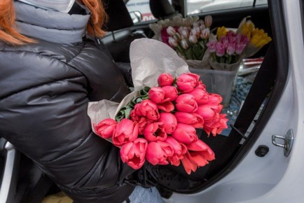 ��� �������� � �������� �� 8 �����-2026 � ������������