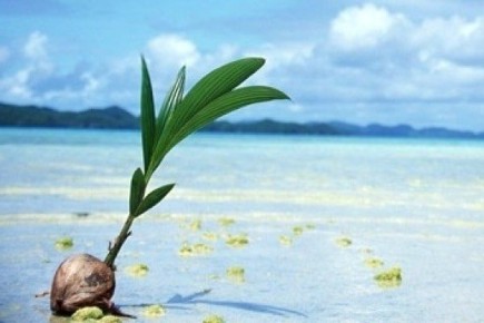 ��� ������� ������������ � ���� �����