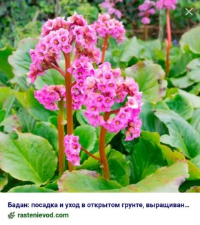 ��� ��������� �����: ������� ������� ����� �� �������������