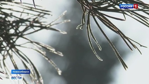 ������ ���������. ����� �������� ��� � ������������� ������� �������� ������