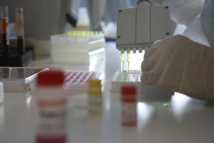 �������� ����������� �������� � ����������� ��� ���������� � ������������