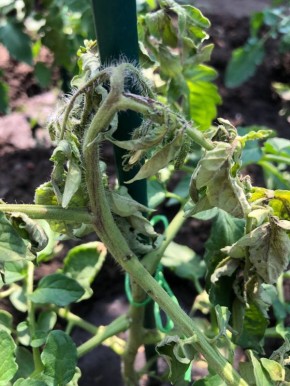 ��� �������� ���������� ������ �� ������ ������ � ������� ������?