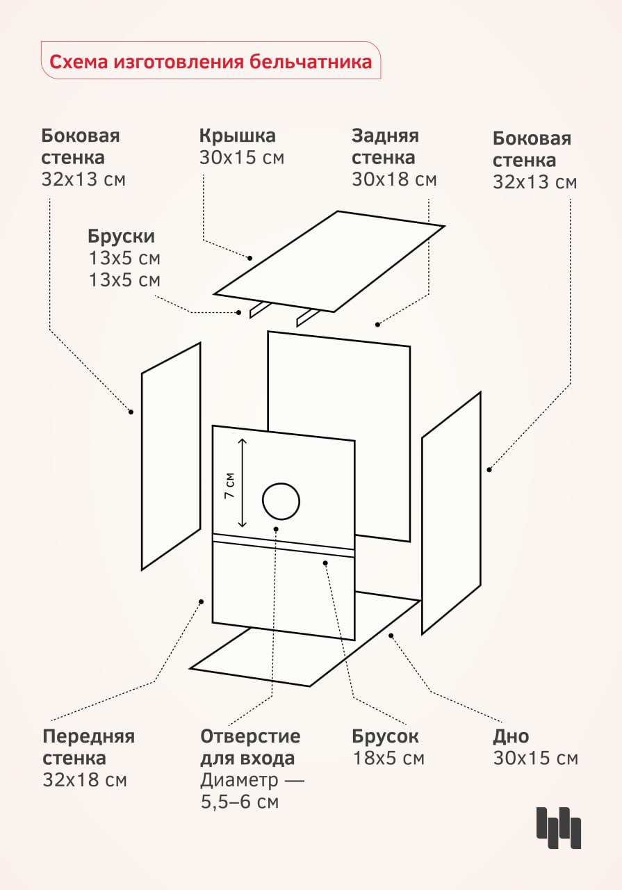 Календарная весна на пороге, а значит, скоро в Новосибирск начнут возвращаться перелётные птицы Календарная весна на пороге, а значит, скоро в Новосибирск начнут возвращаться перелётные птицы