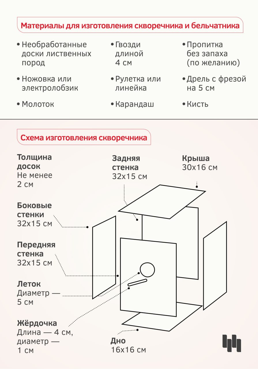 Календарная весна на пороге, а значит, скоро в Новосибирск начнут возвращаться перелётные птицы Календарная весна на пороге, а значит, скоро в Новосибирск начнут возвращаться перелётные птицы