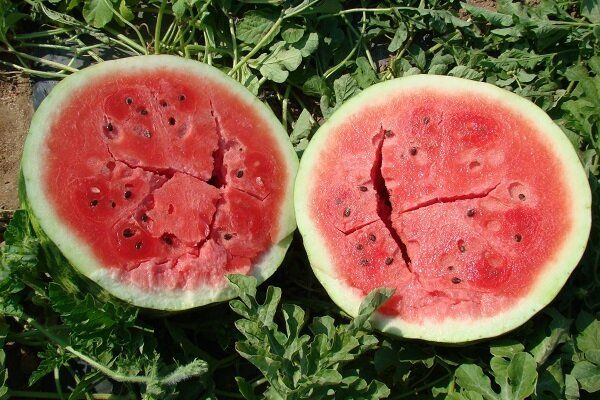 ��� ��������� ������� ������: �������� ������ ��� ���������