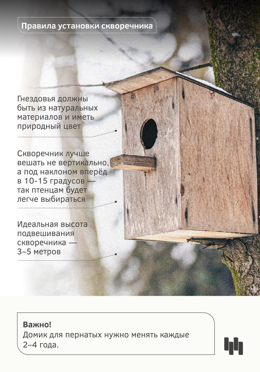 Календарная весна на пороге, а значит, скоро в Новосибирск начнут возвращаться перелётные птицы Календарная весна на пороге, а значит, скоро в Новосибирск начнут возвращаться перелётные птицы