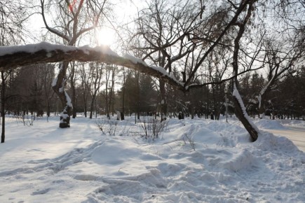 Пока режим «весна» не активирован, утро в Новосибирске начинается с –27°, днём и вечером ожидаются –22°