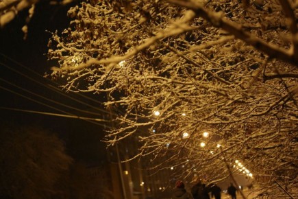 Ярче и безопаснее: современные фонари зажгли на Коминтерна