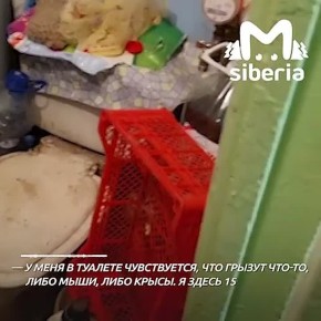 �������-������� ���������� �������� � ������ ������� � ������������