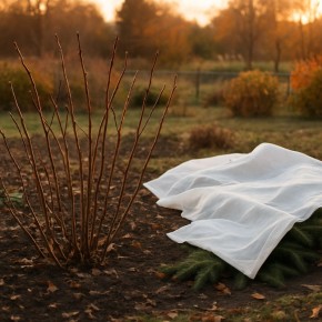 ��� ��������� ��������� ������� �����: ������ ���������