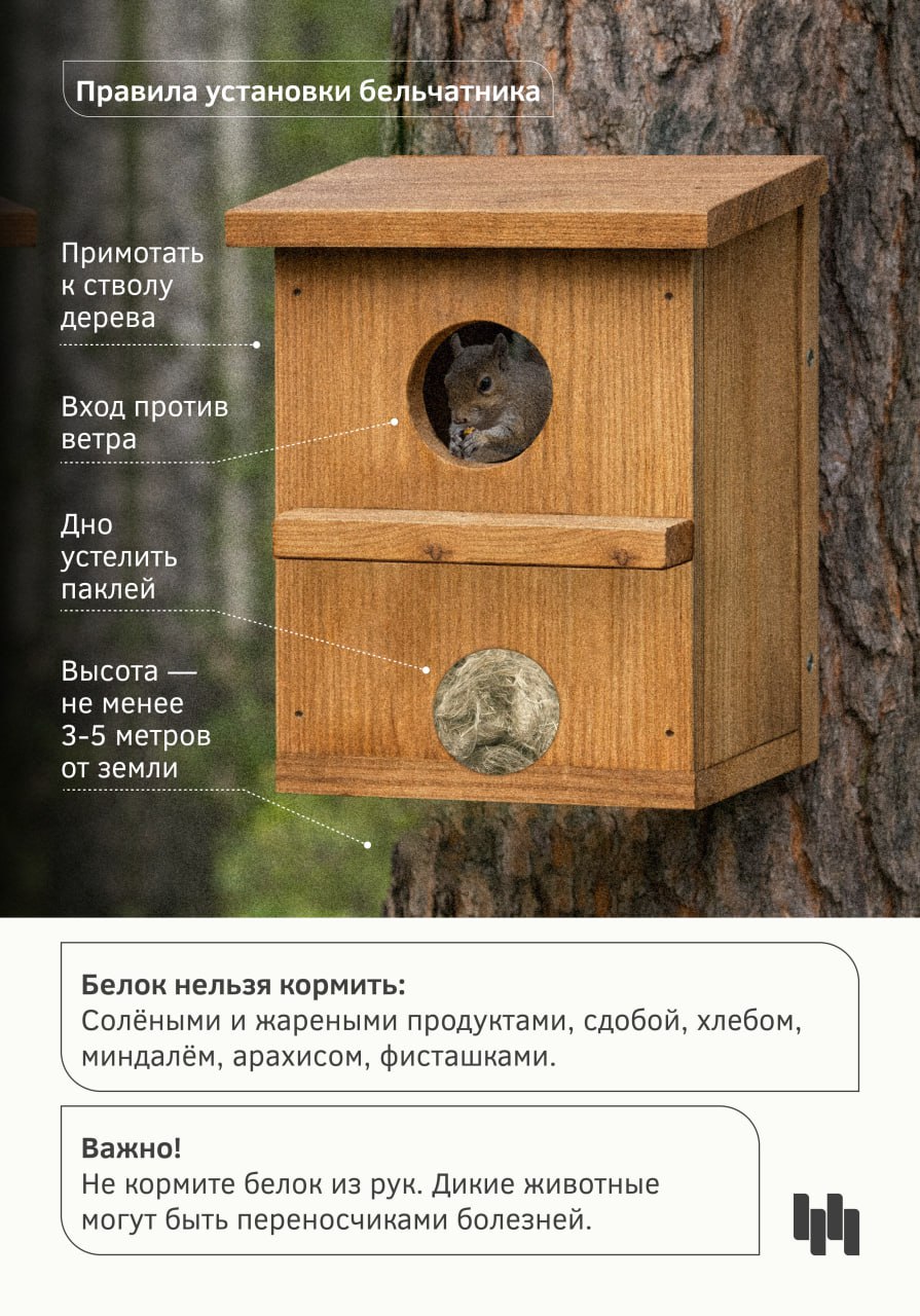 Календарная весна на пороге, а значит, скоро в Новосибирск начнут возвращаться перелётные птицы Календарная весна на пороге, а значит, скоро в Новосибирск начнут возвращаться перелётные птицы