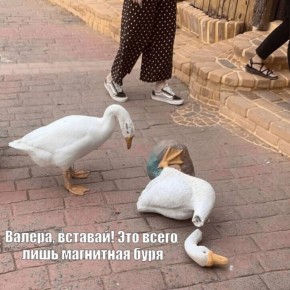 В ближайшие сутки Новосибирск накроет магнитная буря