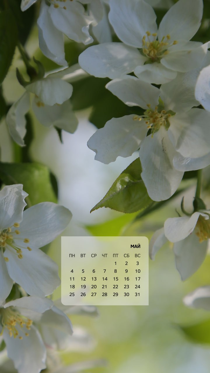 Весна — не просто время года в календаре, это состояние души Весна — не просто время года в календаре, это состояние души