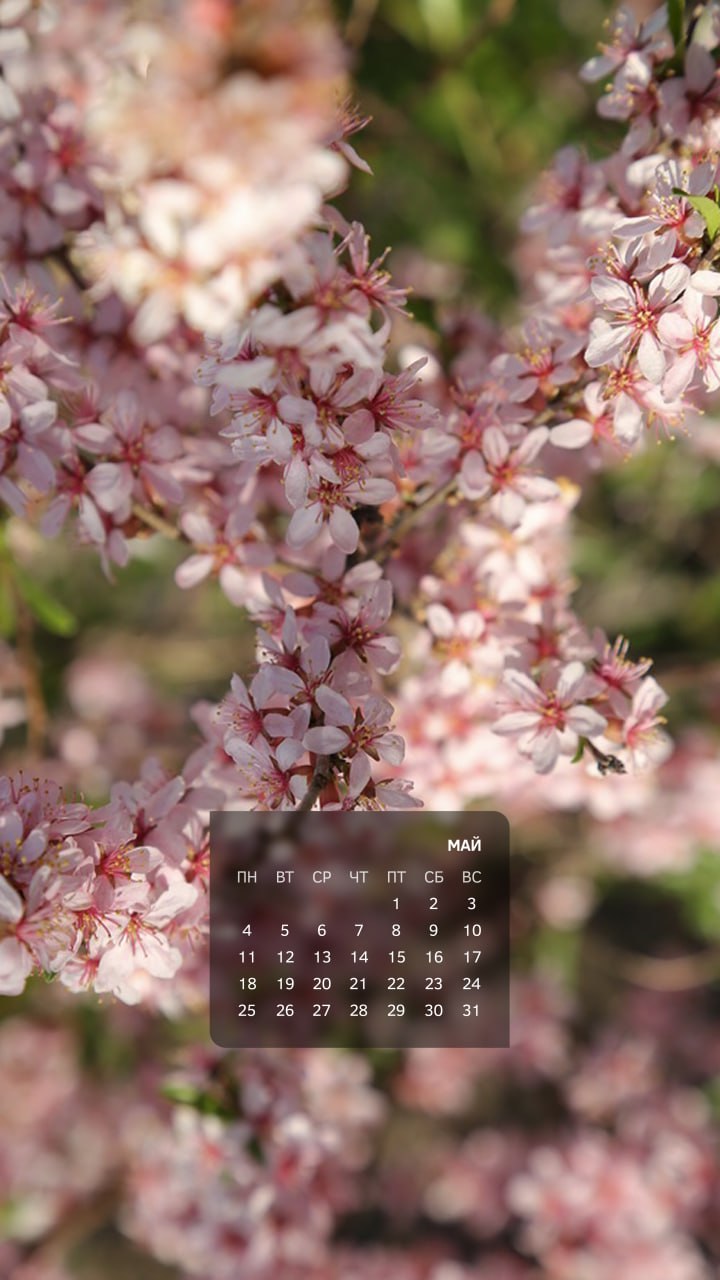 Весна — не просто время года в календаре, это состояние души Весна — не просто время года в календаре, это состояние души