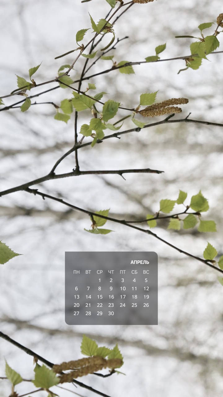 Весна — не просто время года в календаре, это состояние души Весна — не просто время года в календаре, это состояние души