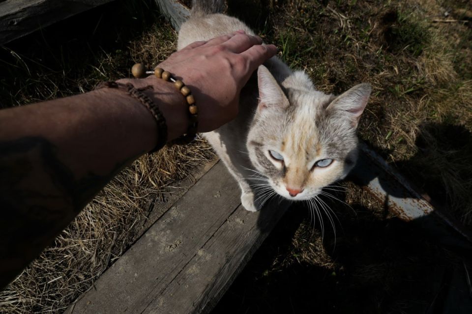 ������ ��������� �������� � ���������� ���� �� ������������