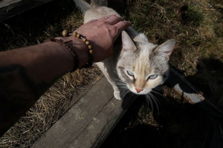 ������ ��������� �������� � ���������� ���� �� ������������