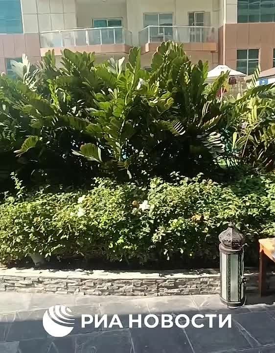 ������ ������� � ����� ���������� �������� � ��������� �� ������, �������� �� ����� ������� � ������, ��������� ��� ������� ������ �� ������������ �����