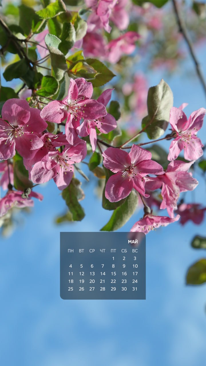 Весна — не просто время года в календаре, это состояние души Весна — не просто время года в календаре, это состояние души