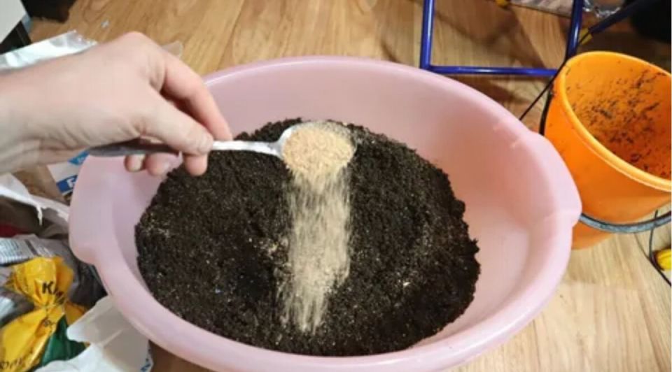 ��� ����������� ����� ��� ������ ��������� � �����: ������������ ������