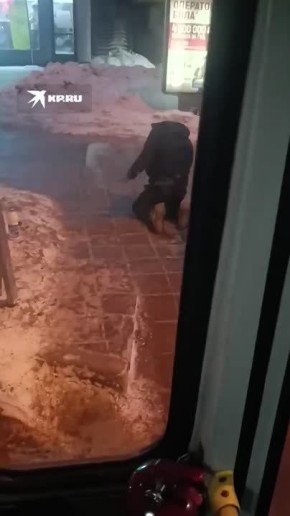 «Сам ударился спиной об автобус»: новосибирцы обвинили пешехода в инсценировке ДТП на перекрестке