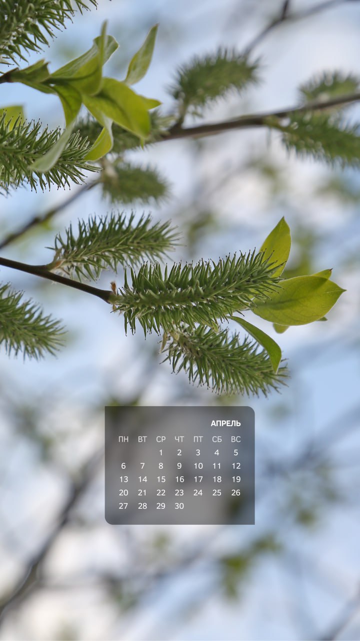 Весна — не просто время года в календаре, это состояние души Весна — не просто время года в календаре, это состояние души