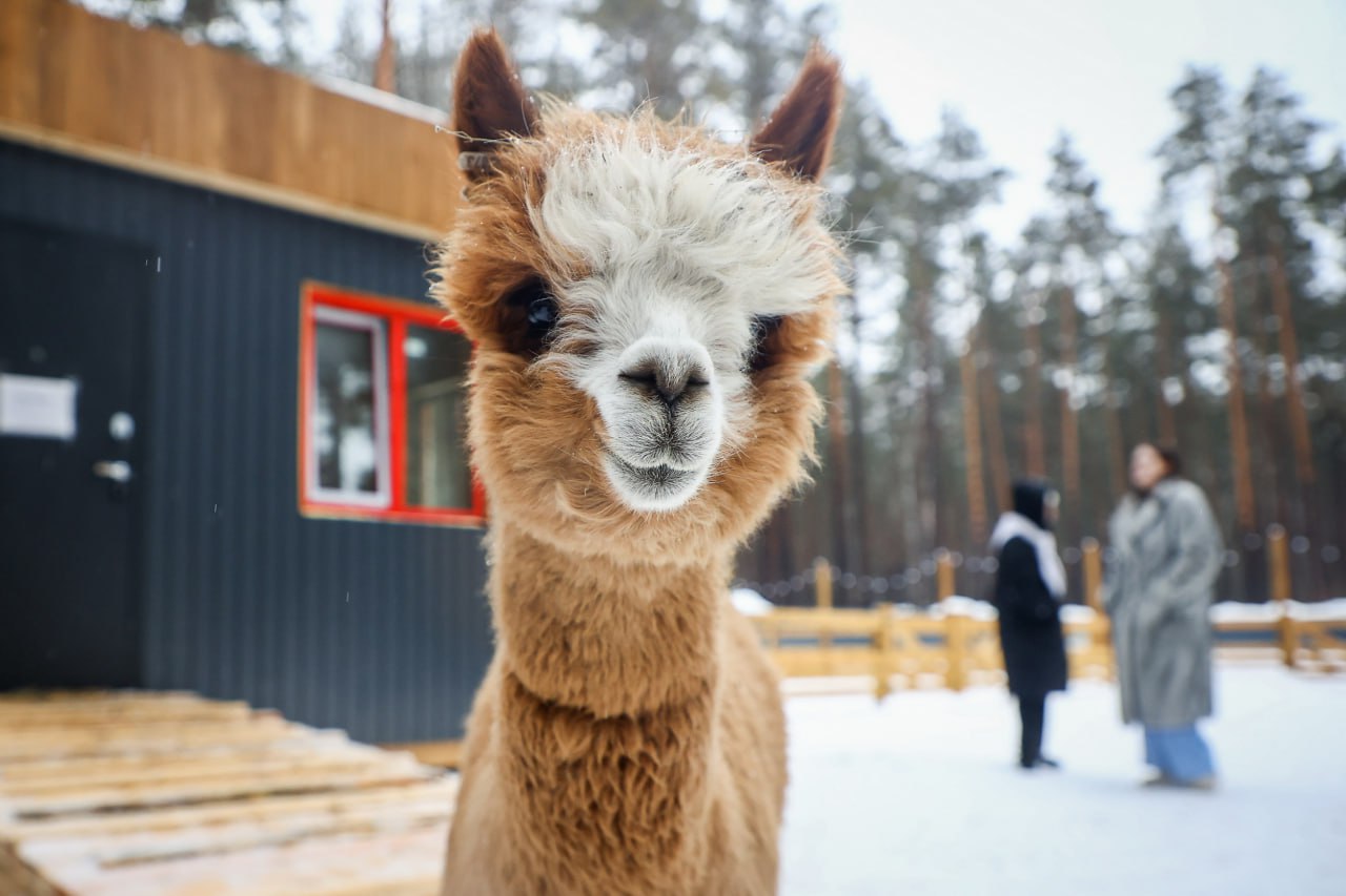 Согласно календарю, весна уже тут! Но температура за окном не спешит радовать