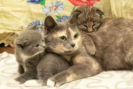 ������ ����: ��� �������� ����� ���������� ������ ��� ����� ��������