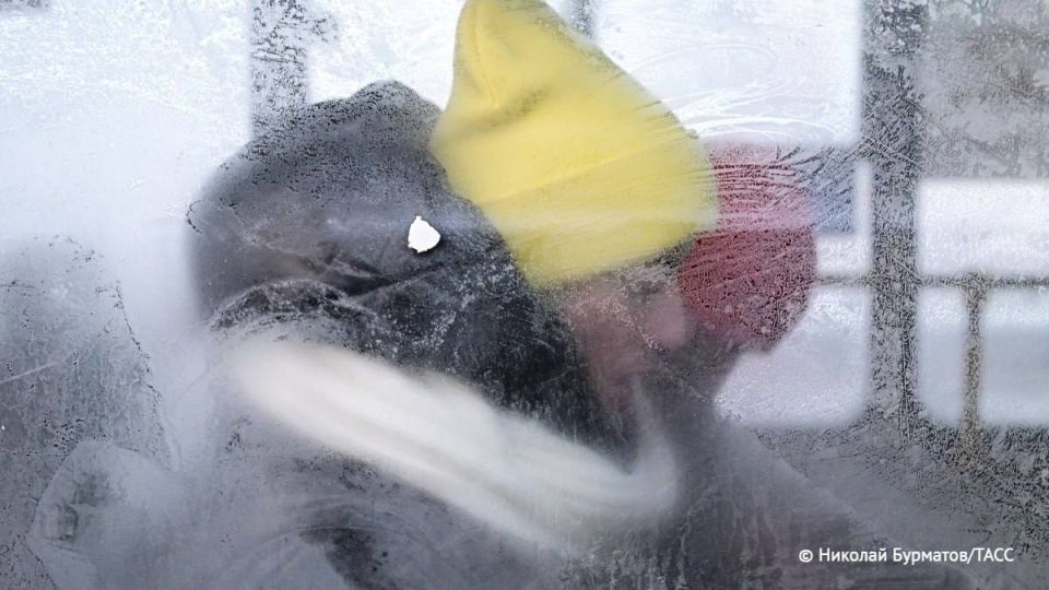 ������� ������ ���� 35 �������� � ������������� ������� ������� � ������ ������� ����� �� 77 ���������� ������� � �����, ������� ������� ���������� � ��������� ��������� ������� �������� ������������