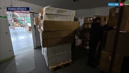 ��������� �������. 12 ���� ��������� ������ ��������� � ������ ���� ������������� ���������� ������� � �����������������