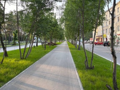 Максим Кудрявцев: В этом году продолжим озеленение города