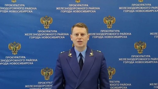 В Новосибирске осуждена местная жительница за мошенничество в особо крупном размере