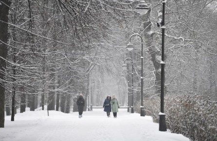 Доброе утро, сибиряки!. Морозы отступили