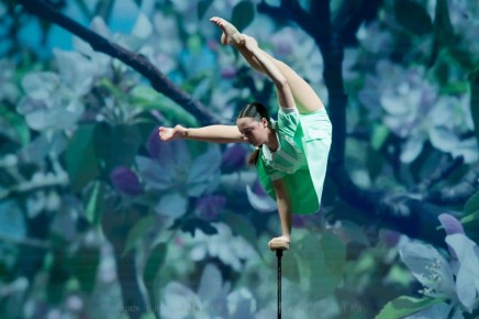 Более 500 артистов из 24 российских городов собрались в Новосибирске для участия в фестивале-практикуме любительских цирковых коллективов «Чудеса на манеже»