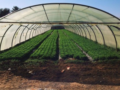 ������ ������, ������� ����� ��������� ��� ������ � �������