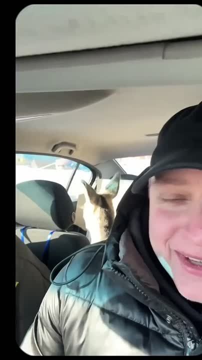 ������, �������� � ������� �����