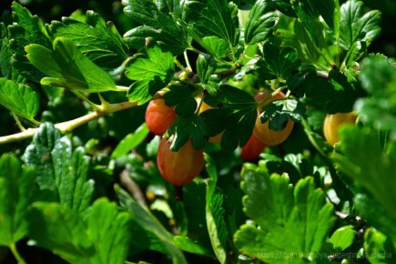 ������� �������� ��������� ���������� ��� ������� ������