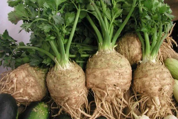 �������� ������: ������� ����������� ����������� ����� ���������