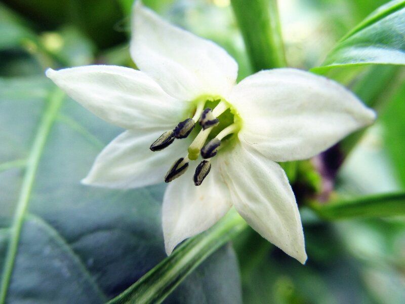 ��� ������� ������� ������ ����� ������� �������� ������