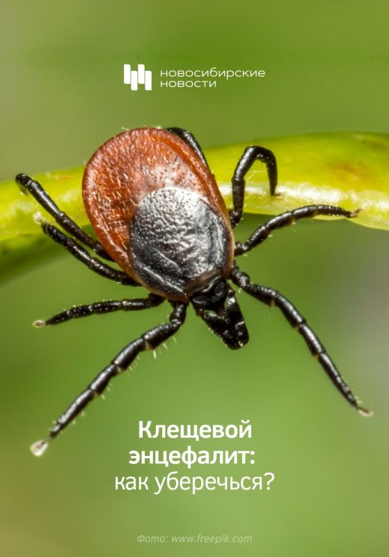 � ������������ �������� ������� ���������� �� ��������� ����������