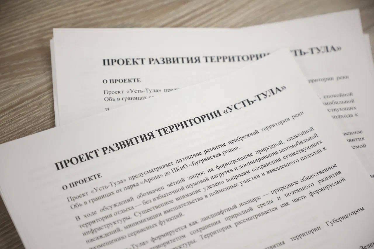 Новосибирцы обсудили проект развития территории «Усть-Тула» Новосибирцы обсудили проект развития территории «Усть-Тула»